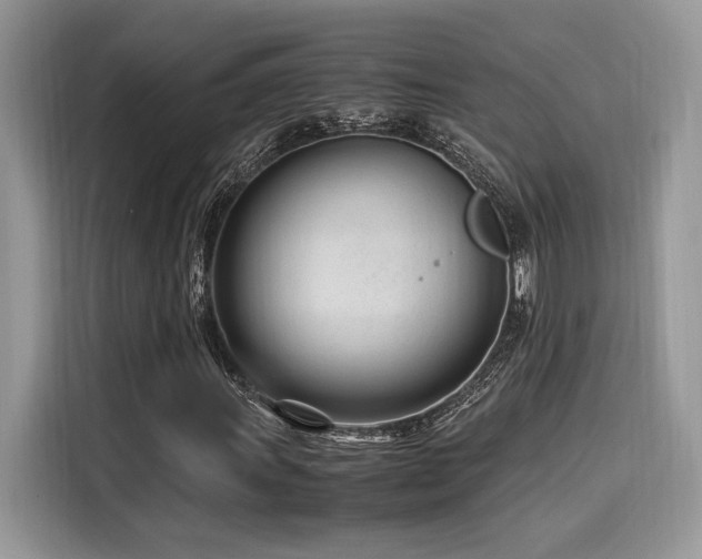 X0000116271011200911301209