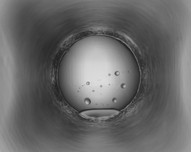 X0000116271016200911301209