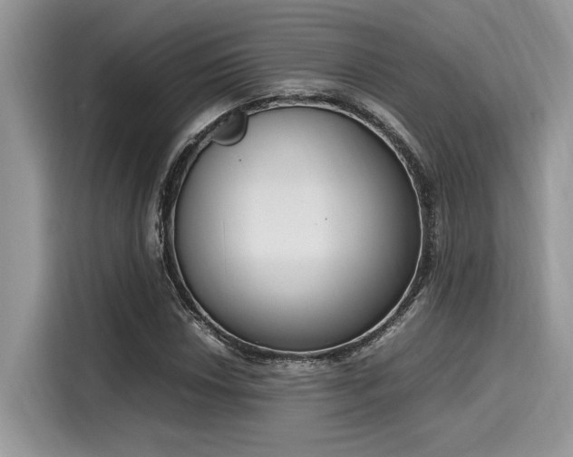 X0000116271018200911301209