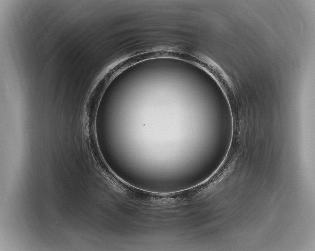X0000116271019200911301209
