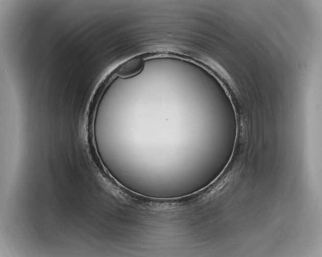 X0000116271020200911301209