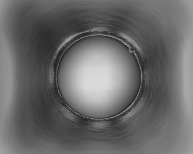 X0000116271021200911301209