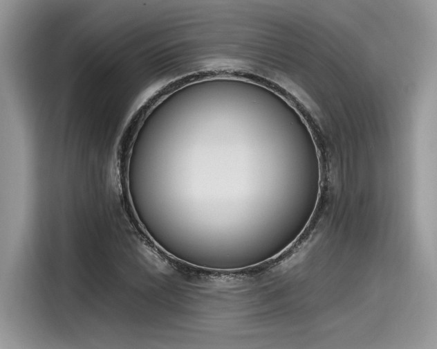 X0000116271022200911301209
