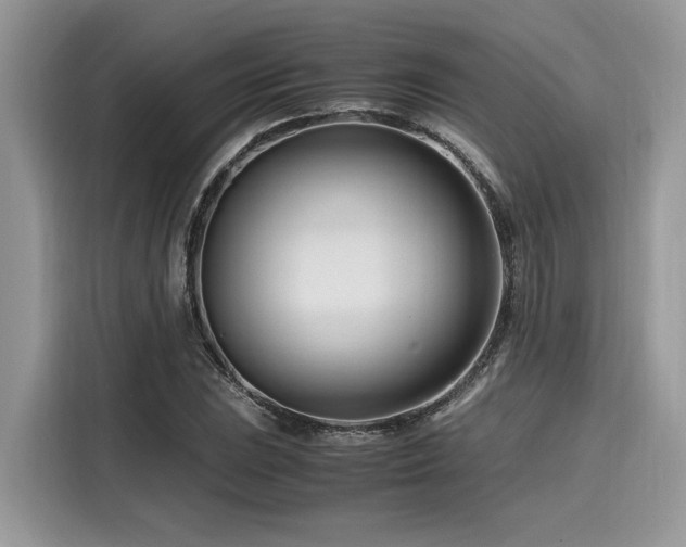X0000116271023200911301209