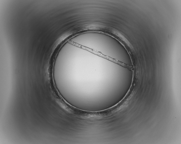 X0000116271026200911301209