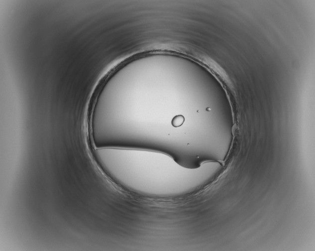 X0000116271028200911301209