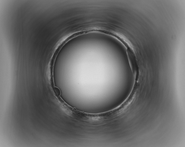 X0000116271031200911301209
