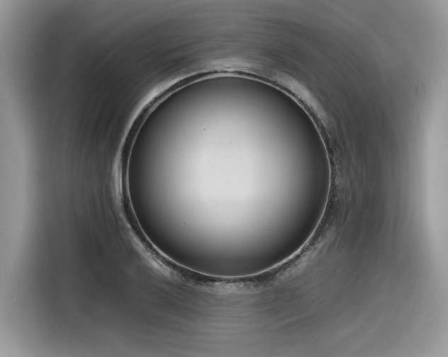 X0000116271032200911301209