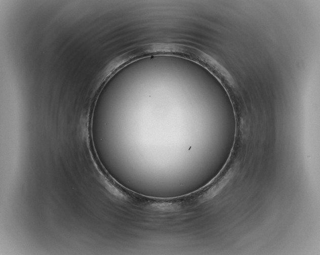 X0000116271033200911301209