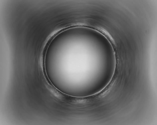 X0000116271035200911301209