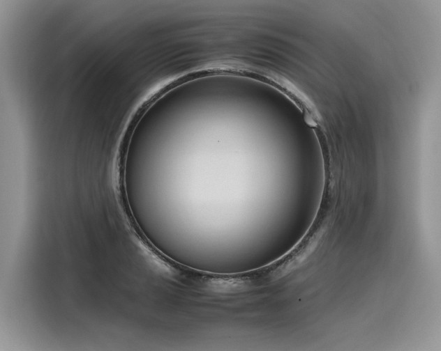 X0000116271037200911301209