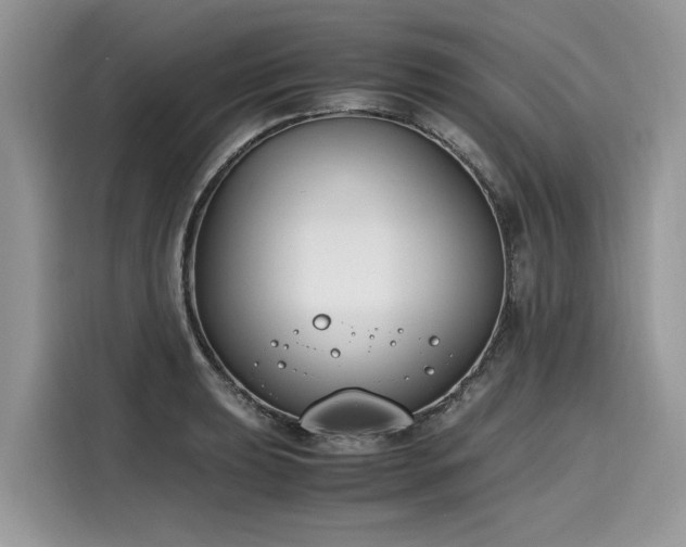 X0000116271039200911301209