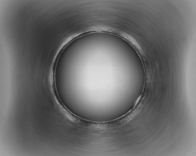 X0000116271040200911301209
