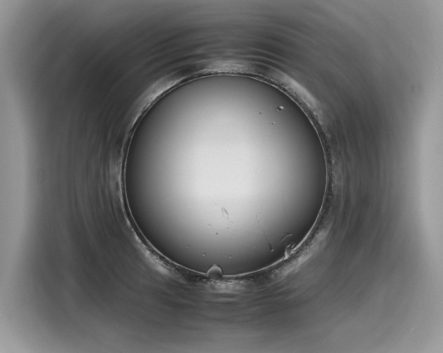 X0000116271041200911301209
