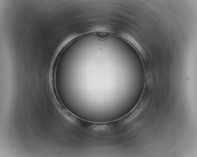 X0000116271043200911301209