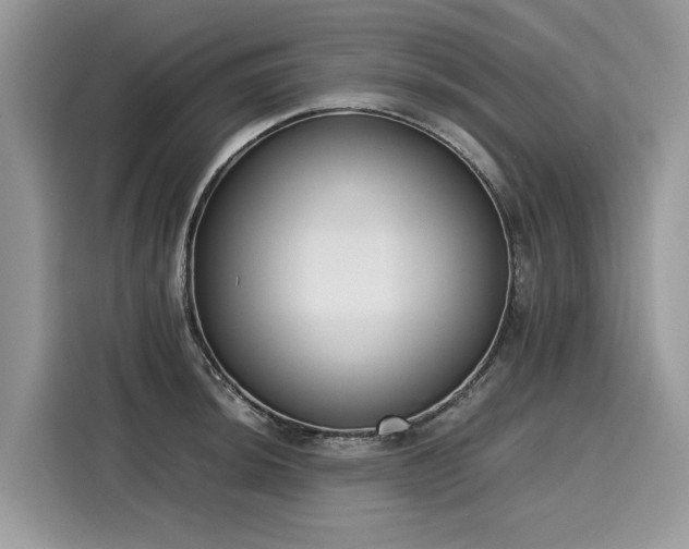 X0000116271044200911301209