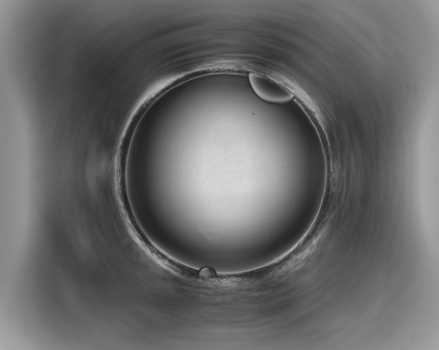 X0000116271045200911301209