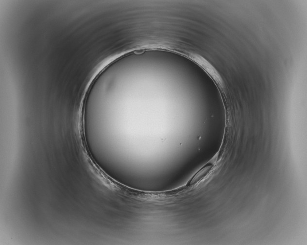 X0000116271052200911301209