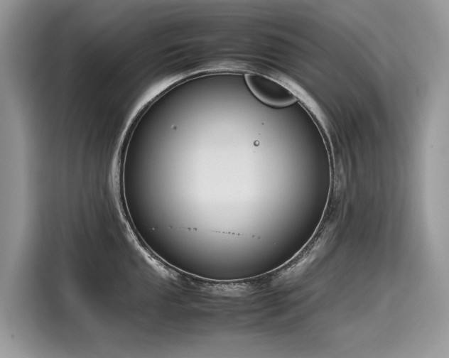 X0000116271053200911301209