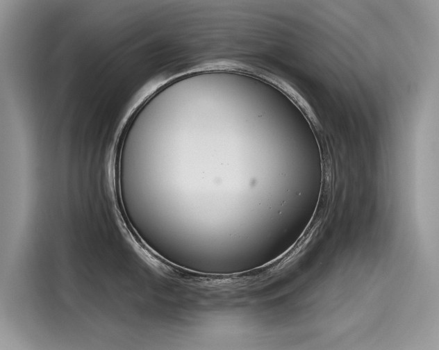 X0000116271054200911301209