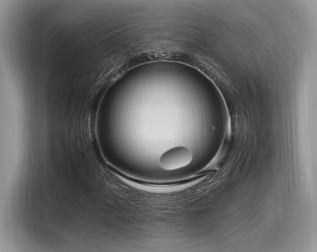 X0000116271060200911301209