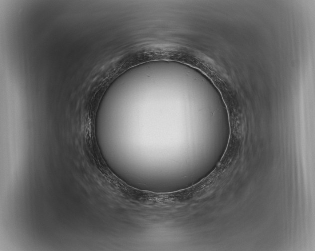 X0000116271061200911301209