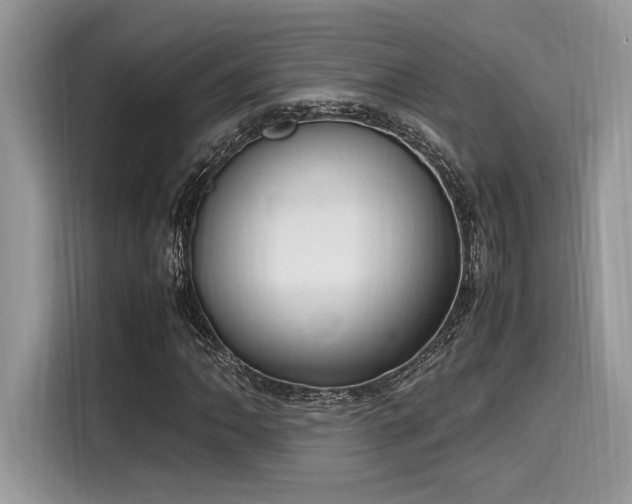 X0000116271062200911301209