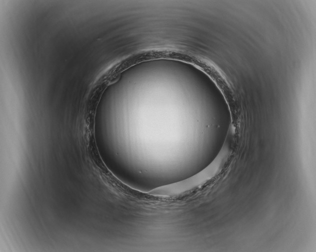 X0000116271064200911301209