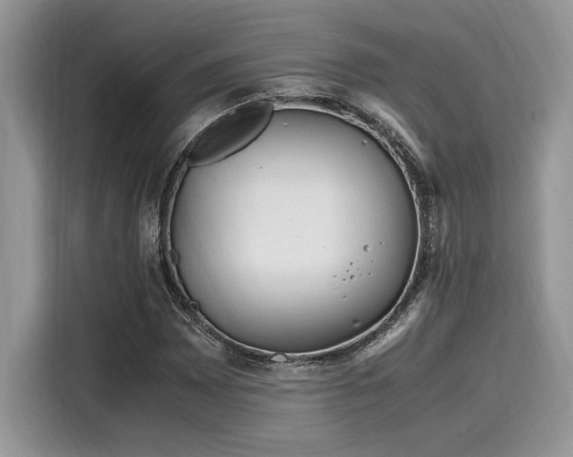X0000116271065200911301209