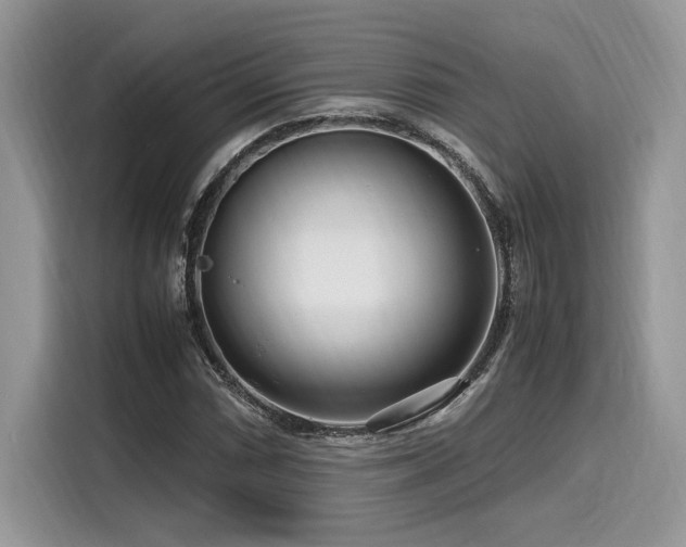 X0000116271066200911301209