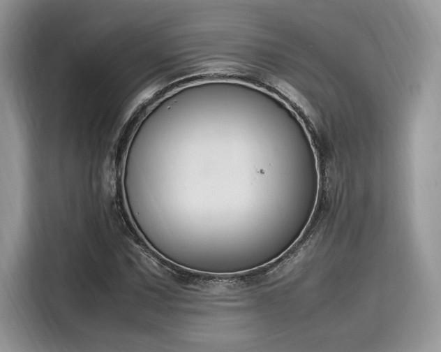 X0000116271067200911301209