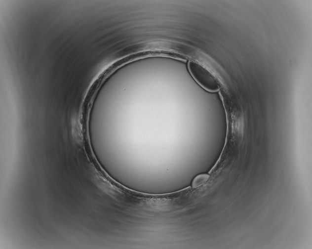 X0000116271068200911301209
