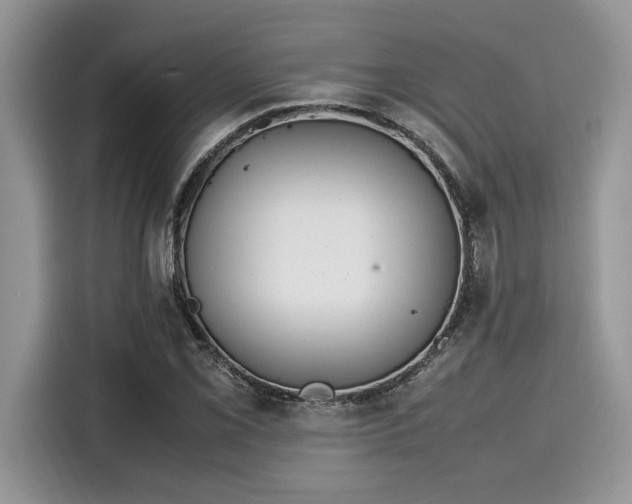 X0000116271069200911301209