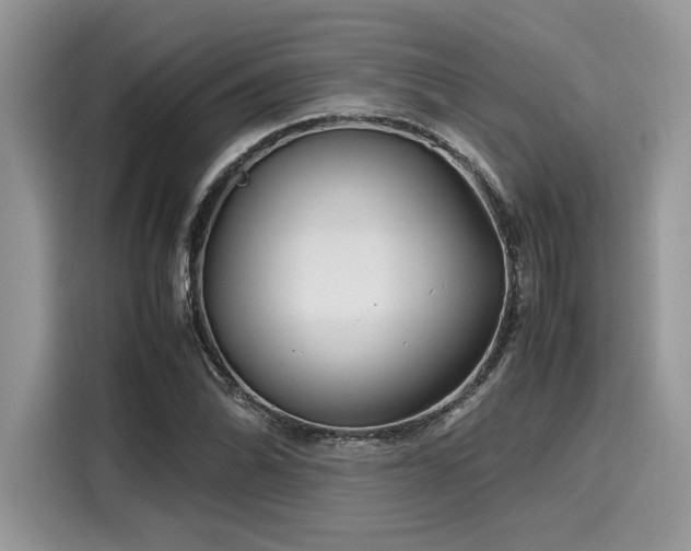 X0000116271070200911301209