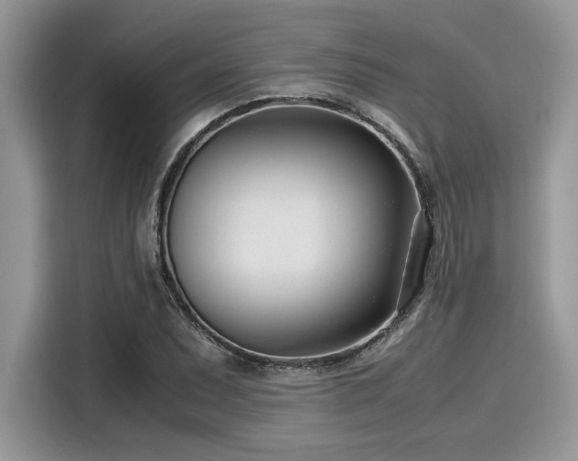 X0000116271071200911301209