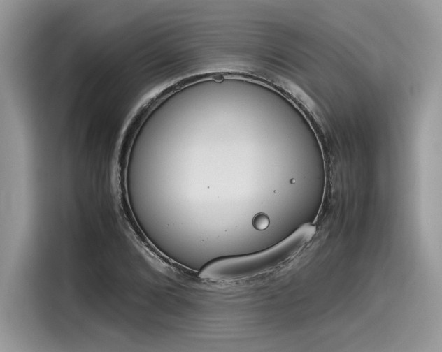 X0000116271072200911301209
