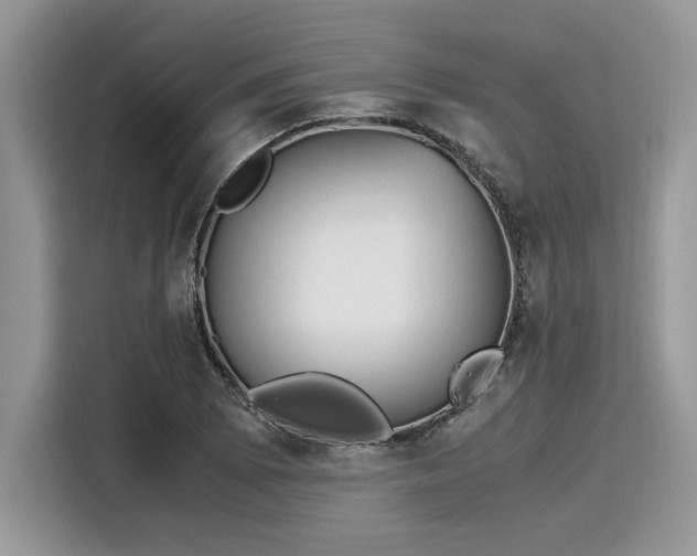 X0000116271073200911301208