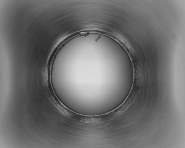 X0000116271076200911301208