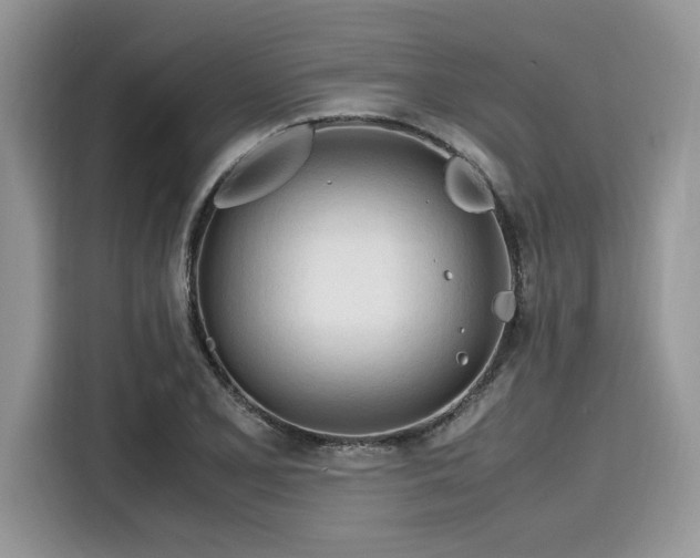 X0000116271077200911301208