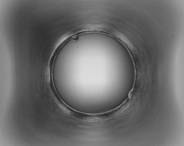 X0000116271079200911301208