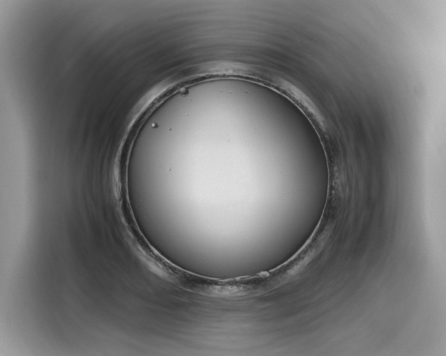 X0000116271082200911301208