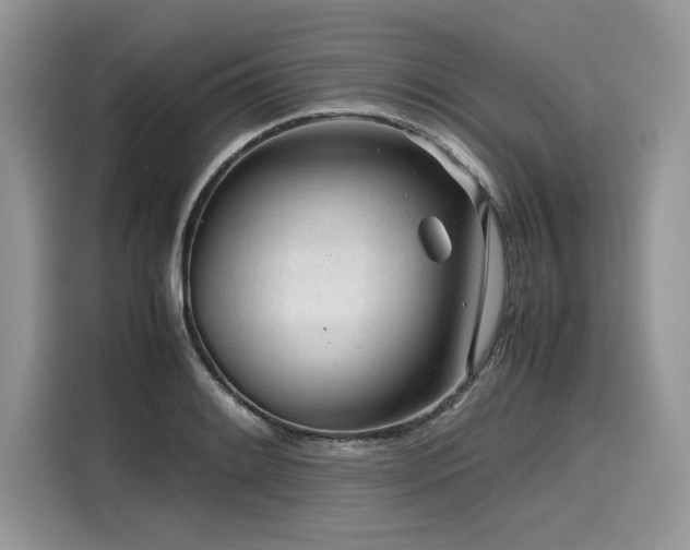X0000116271084200911301208