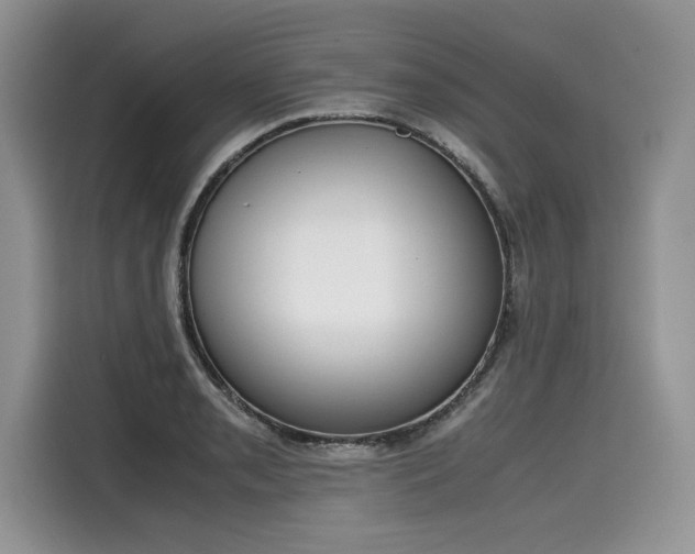X0000116271085200911301208