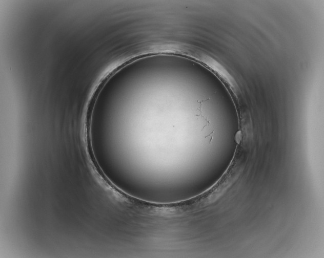 X0000116271088200911301208