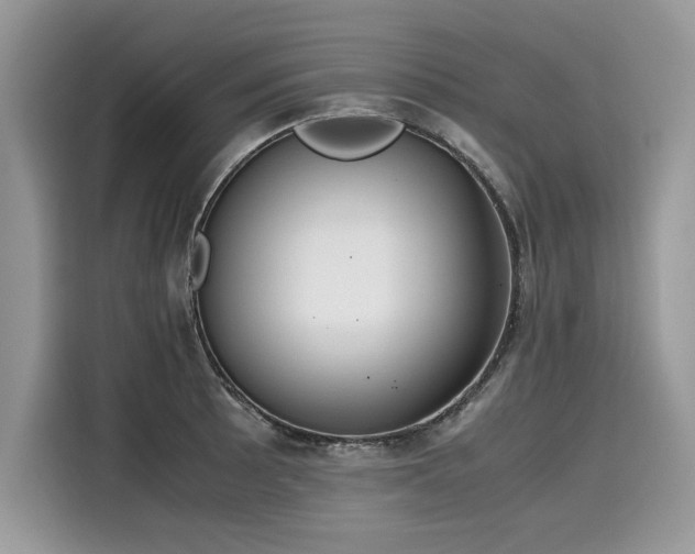 X0000116271089200911301208