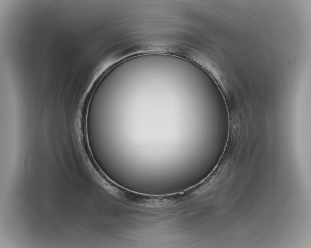 X0000116271091200911301208
