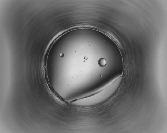 X0000116271092200911301208