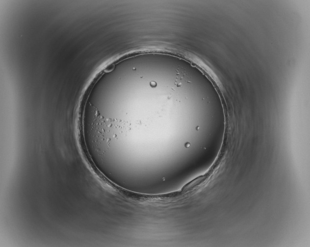 X0000116271093200911301208