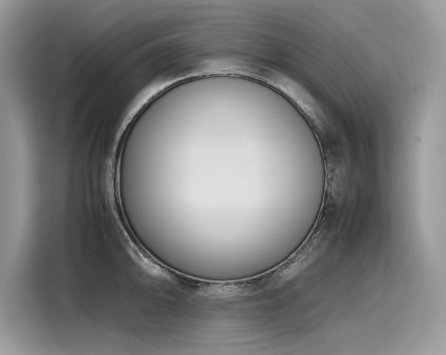 X0000116271094200911301208