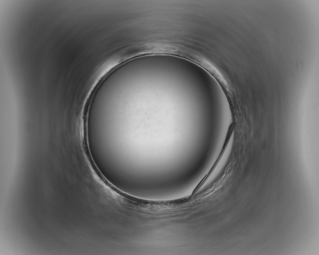 X0000116271095200911301208